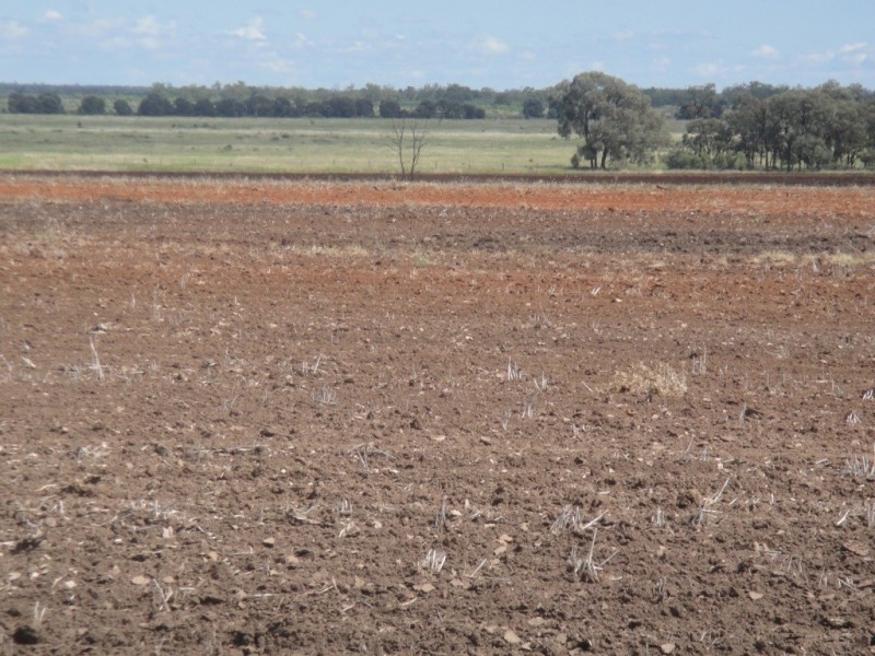 ” Vera Doon “, Hannaford QLD 4406