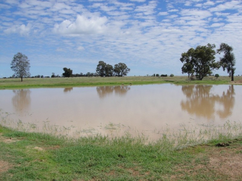 ” Vera Doon “, Hannaford QLD 4406