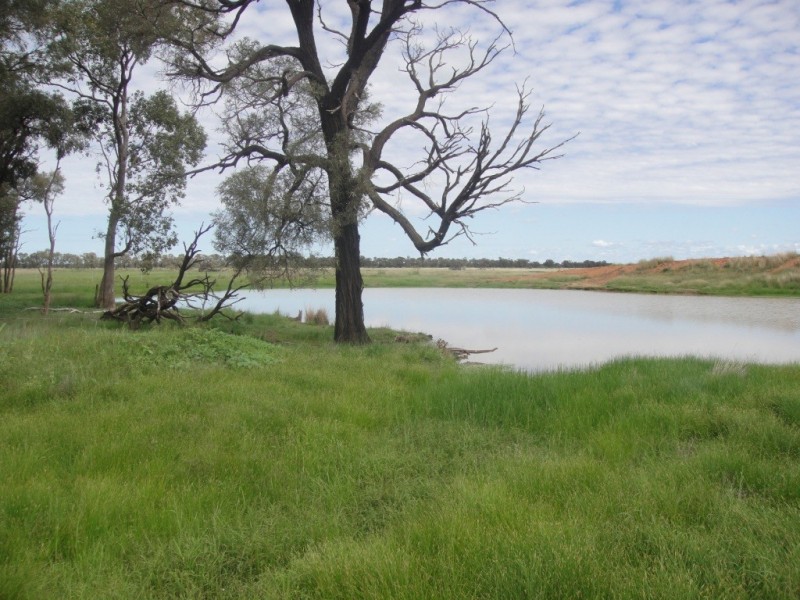 ” Vera Doon “, Hannaford QLD 4406