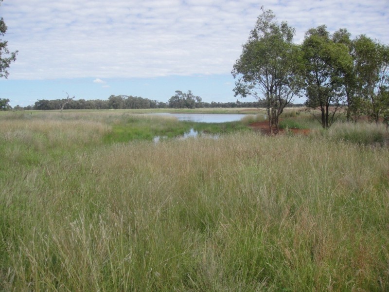 ” Vera Doon “, Hannaford QLD 4406