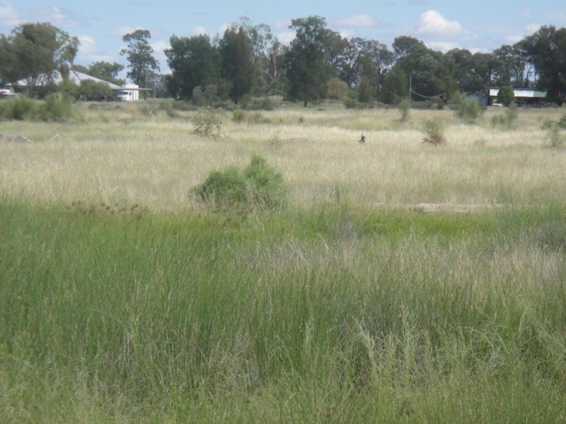 ” Vera Doon “, Hannaford QLD 4406