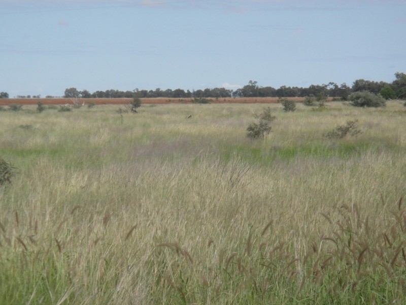 ” Vera Doon “, Hannaford QLD 4406