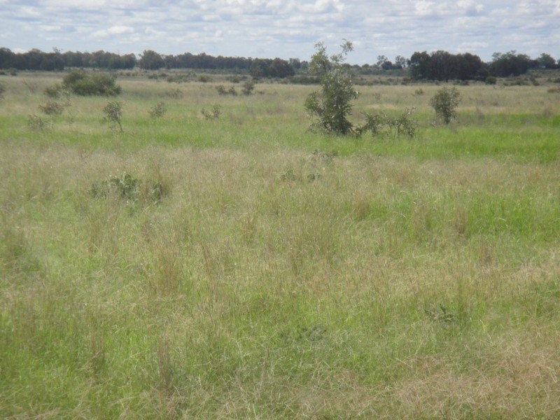 ” Vera Doon “, Hannaford QLD 4406