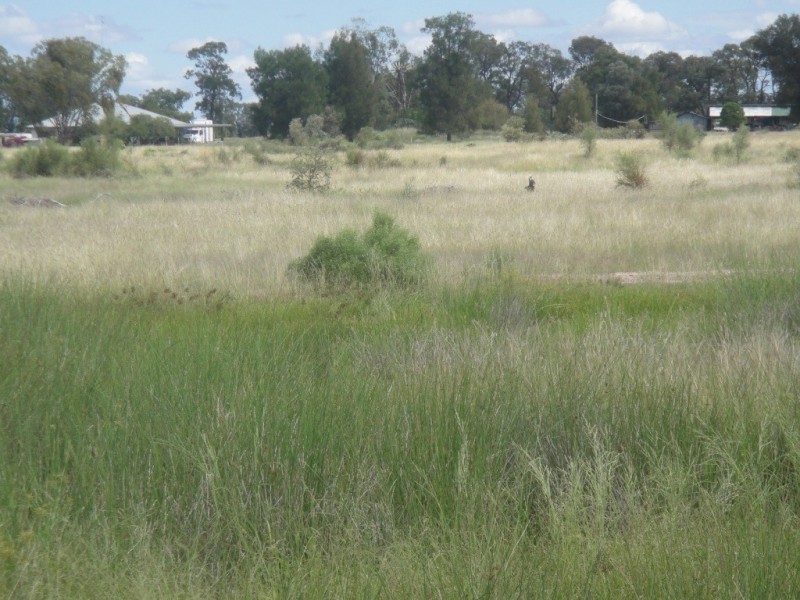 ” Vera Doon “, Hannaford QLD 4406