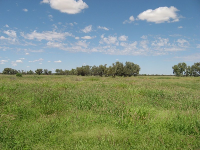 ” Yambutta “, Quilpie QLD 4480