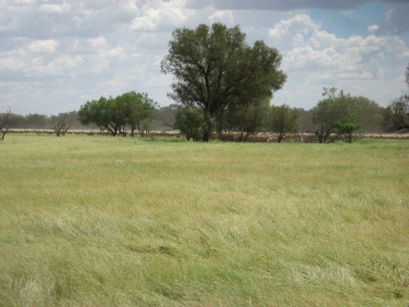 ” Yambutta “, Quilpie QLD 4480