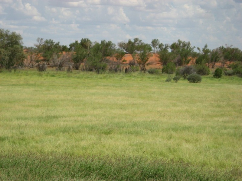 ” Yambutta “, Quilpie QLD 4480
