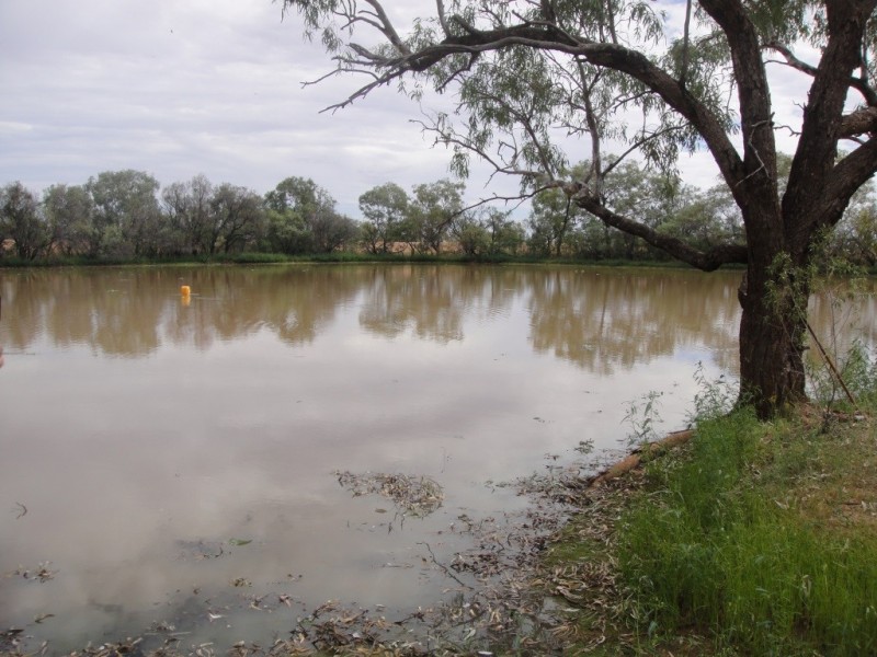 ” Yambutta “, Quilpie QLD 4480