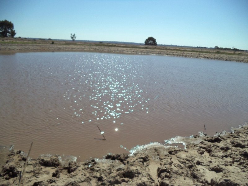 ‘ LOCHVOIL ‘, Dulacca QLD 4425