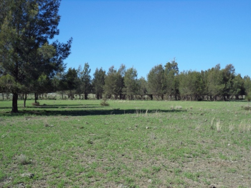 ‘ LOCHVOIL ‘, Dulacca QLD 4425
