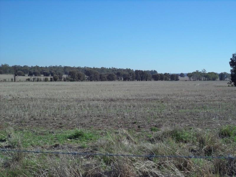 ‘ LOCHVOIL ‘, Dulacca QLD 4425