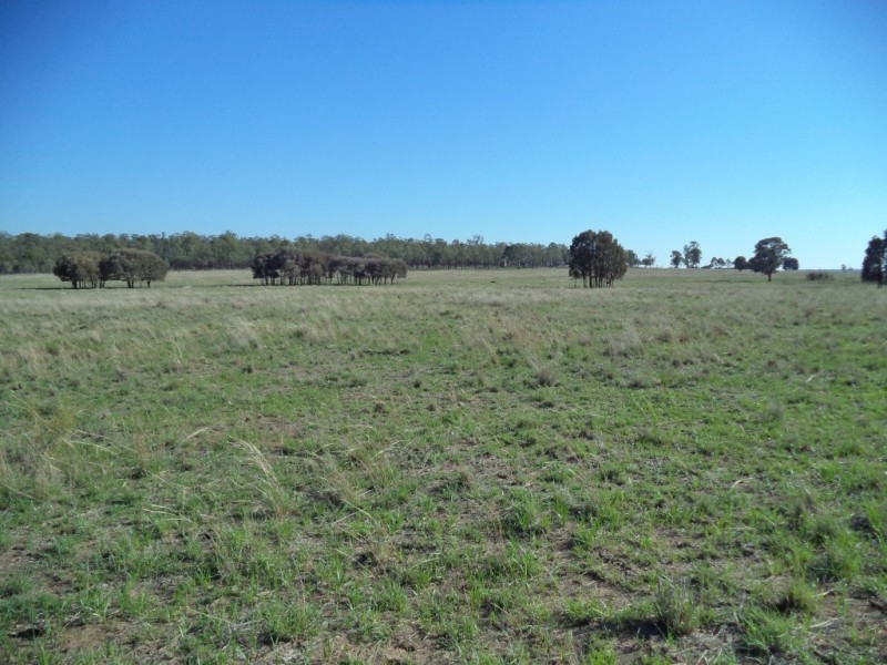 ‘ LOCHVOIL ‘, Dulacca QLD 4425