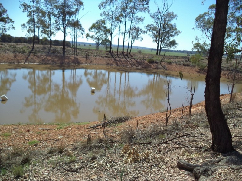 ‘ LOCHVOIL ‘, Dulacca QLD 4425