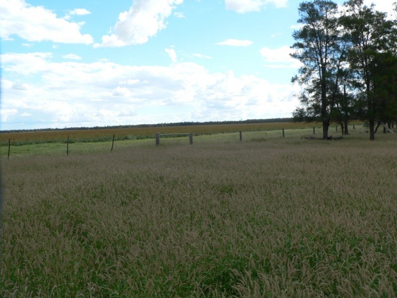 ” Boolara “, Meandarra QLD 4422