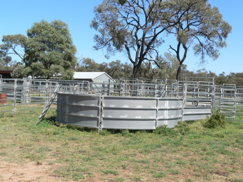 ” Boolara “, Meandarra QLD 4422