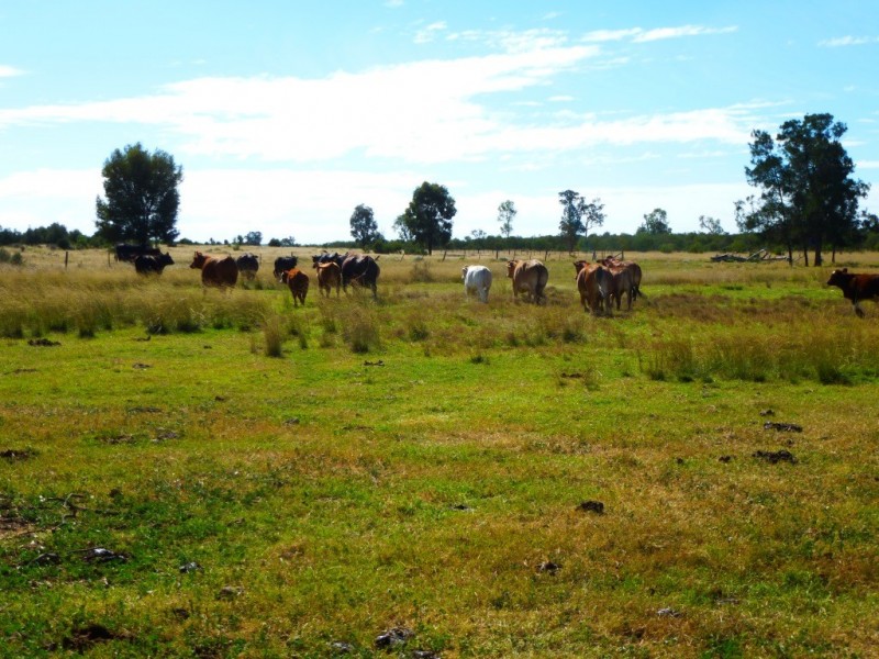 ” BONDALE “, Moonie QLD 4406