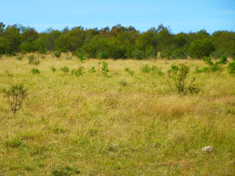 ” BONDALE “, Moonie QLD 4406