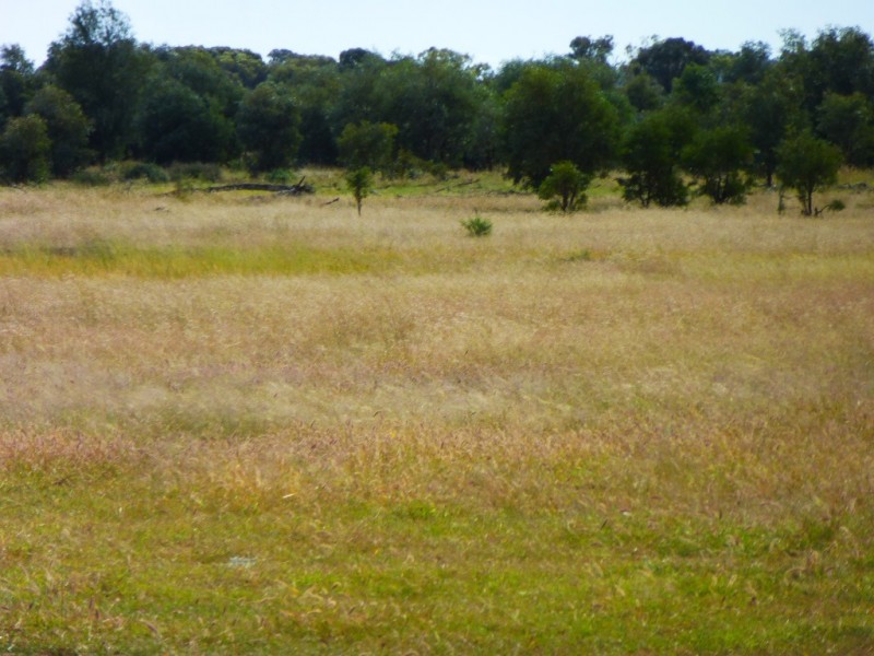 ” BONDALE “, Moonie QLD 4406