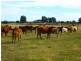 ” BONDALE “, Moonie QLD 4406
