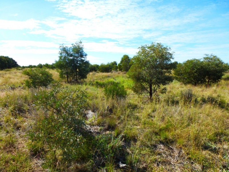 ” BONDALE “, Moonie QLD 4406