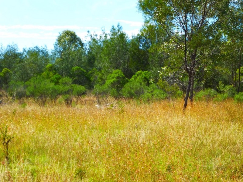 ” BONDALE “, Moonie QLD 4406