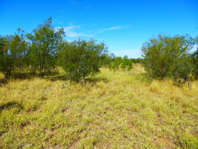 ” BONDALE “, Moonie QLD 4406