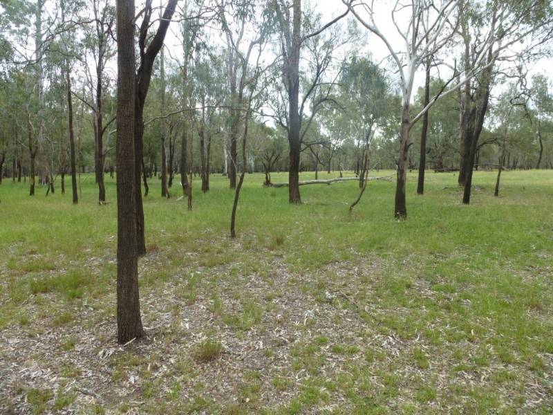 ” COOLIBAH “, Chinchilla QLD 4413