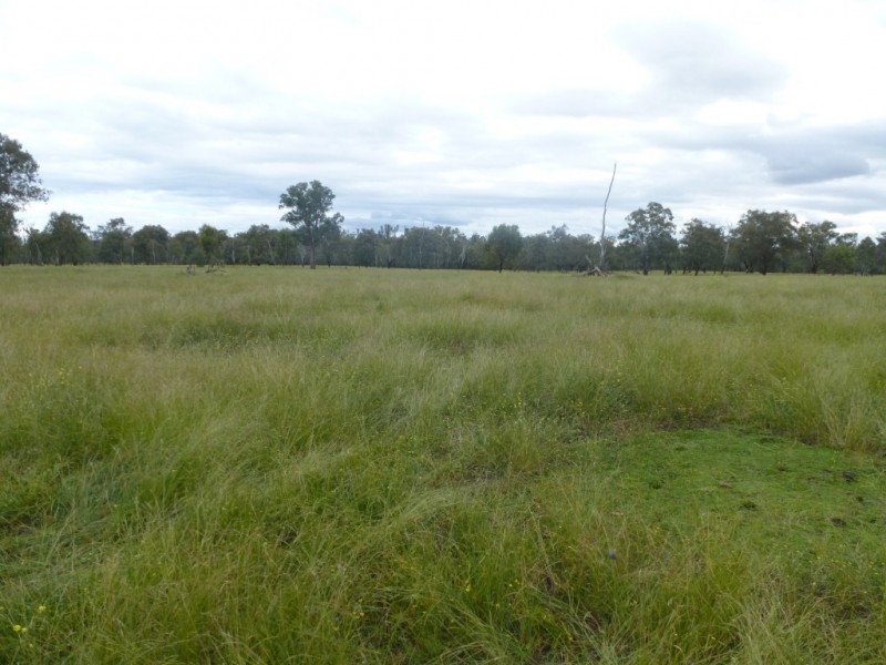 ” COOLIBAH “, Chinchilla QLD 4413