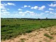 Lot 7 Mt Saltbush Rd, Roma QLD 4455