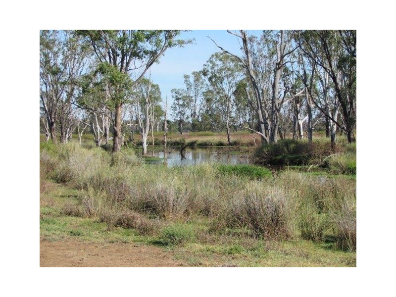 ” Marne”, Wallumbilla QLD 4428