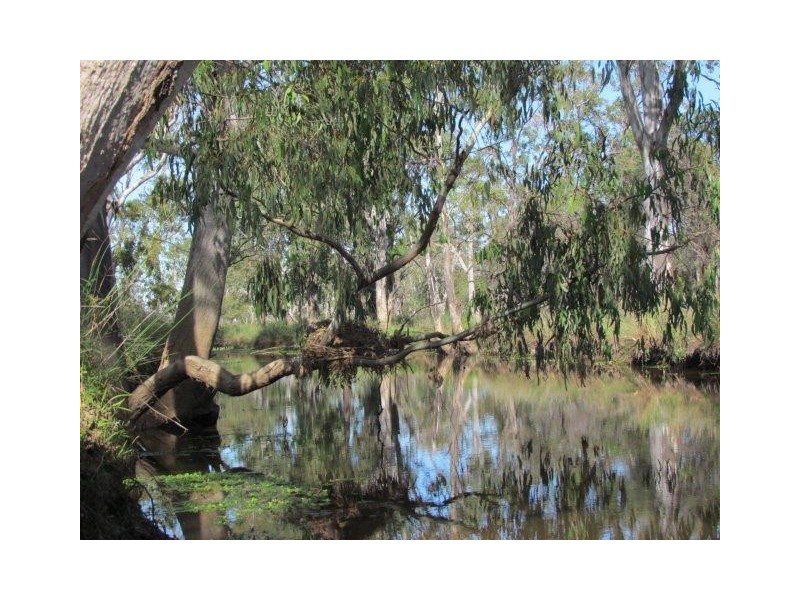 ” Marne”, Wallumbilla QLD 4428