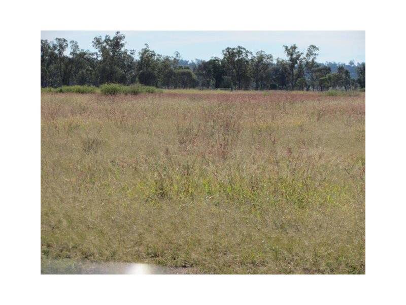 ” Marne”, Wallumbilla QLD 4428