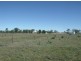 ‘ HOMEVIEW ‘, Miles QLD 4415