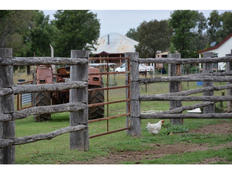 ‘ HOMEVIEW ‘, Miles QLD 4415