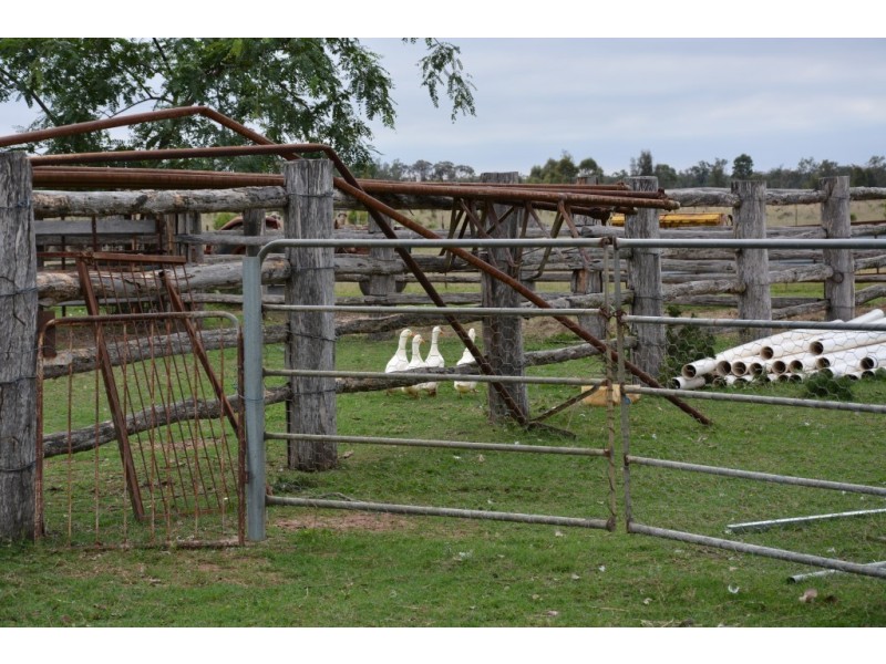 ‘ HOMEVIEW ‘, Miles QLD 4415