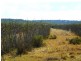 ” WONGA “, Jandowae QLD 4410