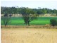 ” WONGA “, Jandowae QLD 4410