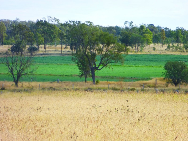 ” WONGA “, Jandowae QLD 4410