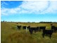 ” WONGA “, Jandowae QLD 4410