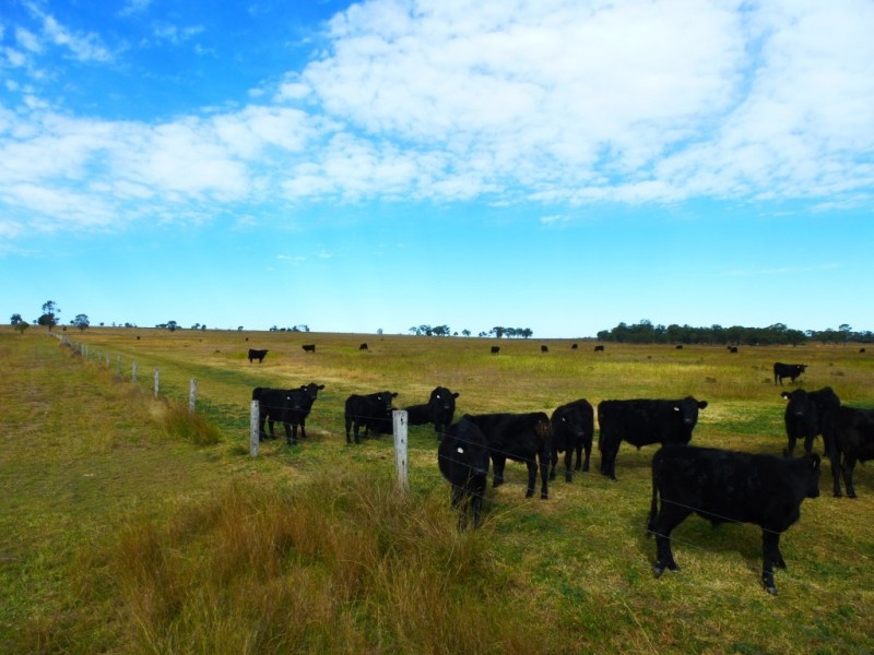 ” WONGA “, Jandowae QLD 4410