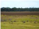 ” WONGA “, Jandowae QLD 4410
