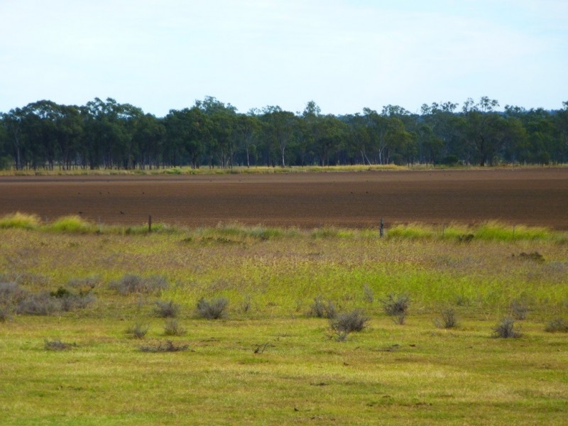 ” WONGA “, Jandowae QLD 4410