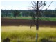 ” WONGA “, Jandowae QLD 4410