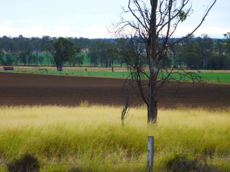 ” WONGA “, Jandowae QLD 4410