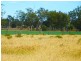 ” WONGA “, Jandowae QLD 4410
