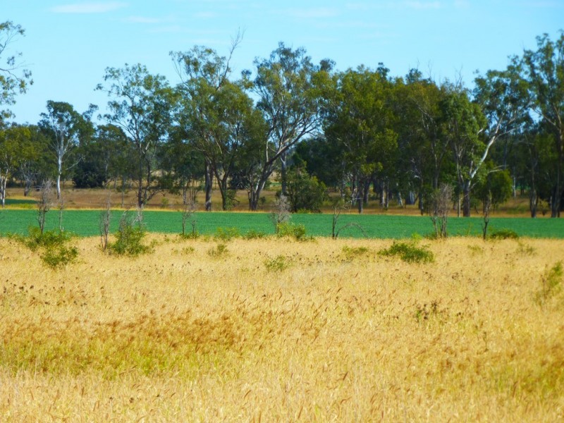” WONGA “, Jandowae QLD 4410