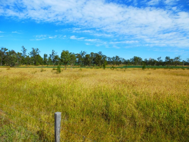 ” WONGA “, Jandowae QLD 4410