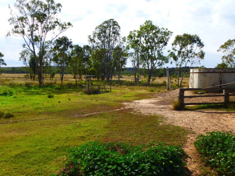 ” WONGA “, Jandowae QLD 4410