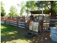 ” WONGA “, Jandowae QLD 4410