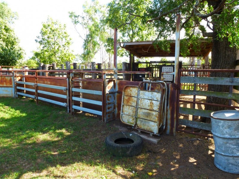 ” WONGA “, Jandowae QLD 4410